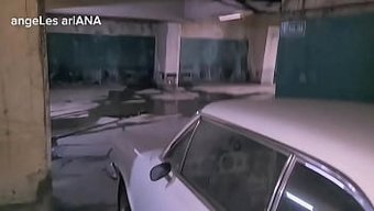 与巴西老师一起享受古...