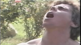 美国色情明星chri...