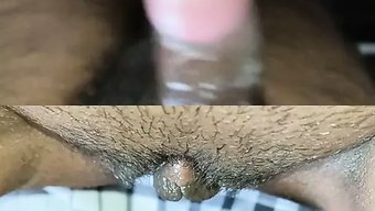 激烈的泰米尔夫妇的跨...