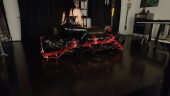 用阴茎在袋子里玩具:...