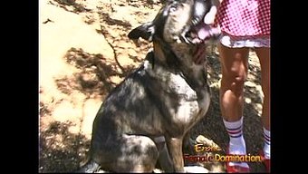 大屁股的棕发女郎在b...