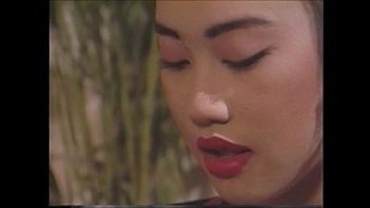 经典亚洲复古:Mim...