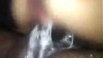 从来没有看到我的鸡巴...