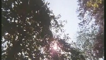 复古色情明星的高清视频