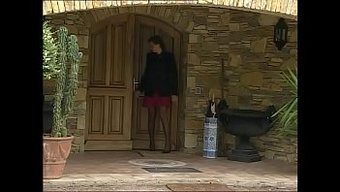 穿着内衣的惊人棕发女...