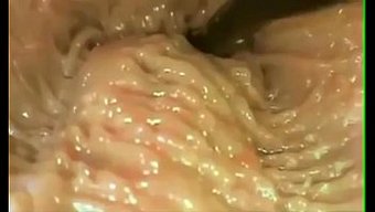 用这部纪录片探索渗透的深度