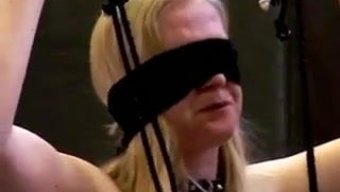 在这个古怪的性玩具视...