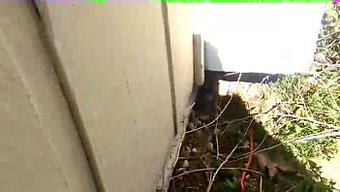 隐藏的摄像头捕捉到室...