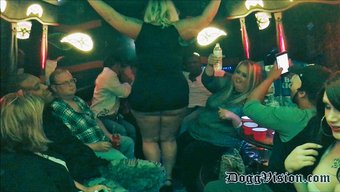 双性恋团体在派对巴士上狂欢