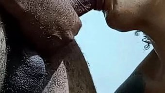 真正的高潮快感:3对...