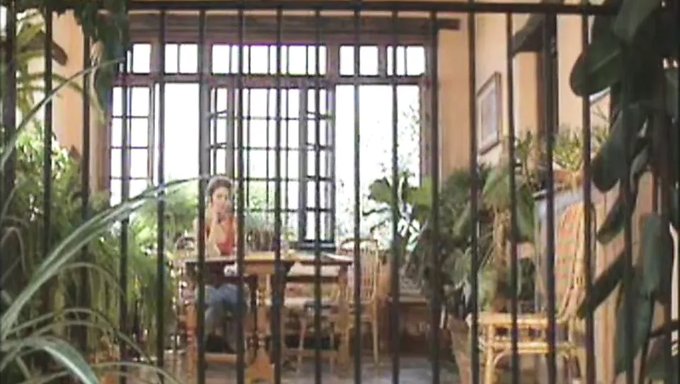 Roberto Malone和julian St. Jox在1995年的性爱视频中