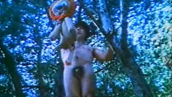 与青少年(18+)和...