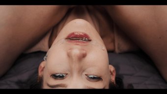 女主人amirah ...