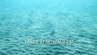 水下比基尼和裸体在田...