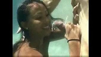 最佳潜水高潮:水下射...