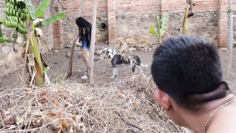大奶邻居在户外被舔和操